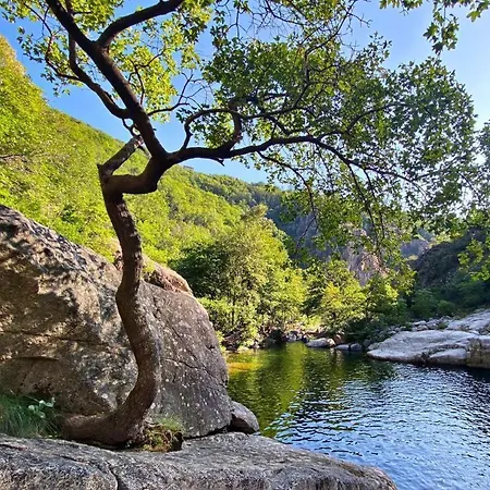 Bien Etre En 5 Etoiles Au Coeur Du Sud Ardeche, Domaine De Chaussy, Rivieres Vignobles Et Villages Classes Campsite *