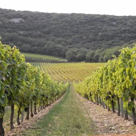 Campsite Bien Etre En 5 Etoiles Au Coeur Du Sud Ardeche, Domaine De Chaussy, Rivieres Vignobles Et Villages Classes Lagorce (Ardeche)