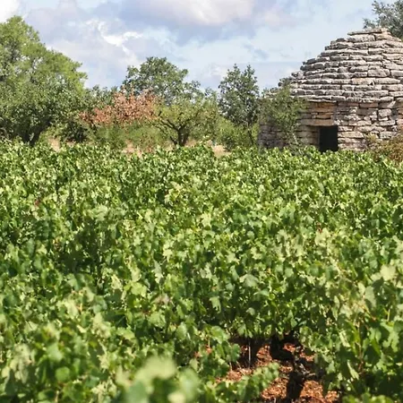Bien Etre En 5 Etoiles Au Coeur Du Sud Ardeche, Domaine De Chaussy, Rivieres Vignobles Et Villages Classes * Lagorce (Ardeche)